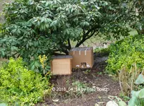 Forum Igel Adoption 2018_04_14 P1090589.webp