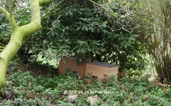 Forum Igel Adoption 2018_04_14 P1090590.webp