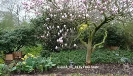 Forum Igel Adoption 2018_04_14 P1090591.webp