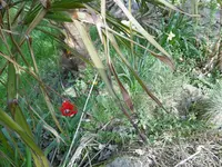 P1020321.webp