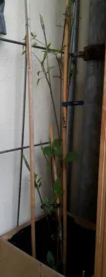 20180414_193836-1.webp