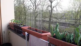 20180414_193755.webp