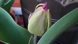 20180414_193908.webp