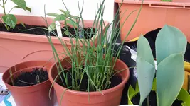 20180414_193915.webp