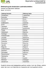 ALB Ersatzpflanzung.webp