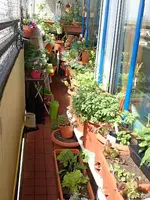 c022.webp
