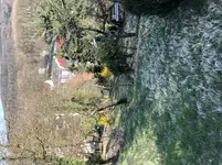 oberer Gartenteil.jpg