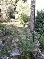 Terasse_mitte.webp