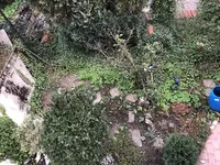 Terassenbeet von oben.webp