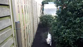 20180415_172950.webp