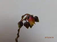 P4160010.webp