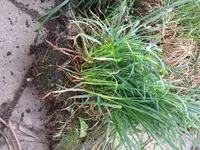 2018-04-16 09.33.58.webp