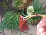 2018-04-16 09.34.19.jpg