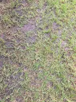 bdfba729-18c7-4c26-9c0d-d8411b6cba88.webp bdfba729-18c7-4c26-9c0d-d8411b6cba88.webp