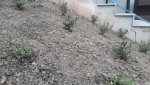 20180416_095608.jpg