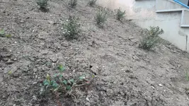 20180416_095619.webp
