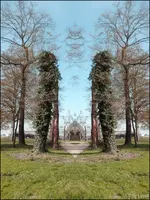 c025.webp