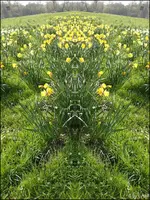 c027.webp
