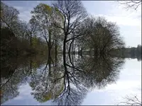 c028.webp