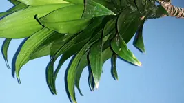 20180416_122821.webp
