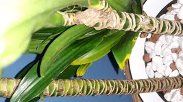 20180416_122929.jpg