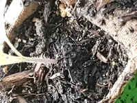 20180416_143425.webp