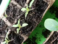 20180416_143432.webp