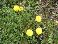 BILD9184.webp