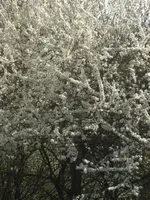 BILD9137.webp