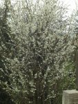 BILD9169.JPG