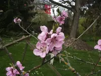 BILD9178.webp