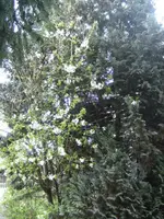 BILD9186.webp