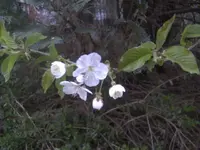 BILD9147.JPG