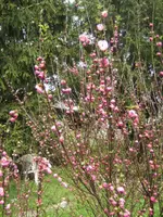 BILD9175.webp