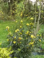 BILD9173.JPG