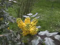 BILD9159.webp