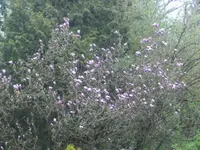 BILD9167.JPG