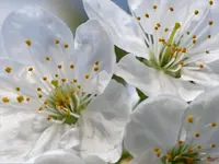 image002.webp