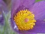 image004.jpg