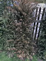 UNADJUSTEDNONRAW_thumb_d8de.webp