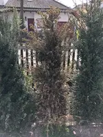 UNADJUSTEDNONRAW_thumb_d8e2.webp