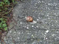 BILD9189.webp