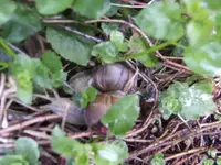 BILD9191.JPG
