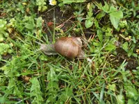 BILD9193.webp