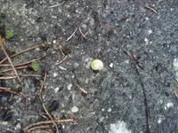 BILD9190.webp