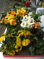 BILD9196.webp
