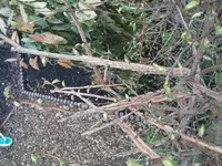 20180417_180254.webp