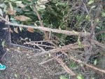 20180417_180254.jpg