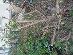 20180417_180305.jpg