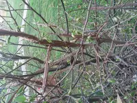 20180417_181433.webp